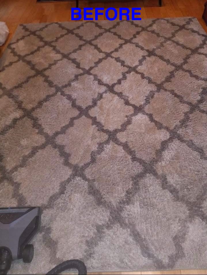 Area rug cleaning — Before