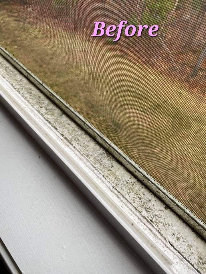 Window seals deep clean — Before