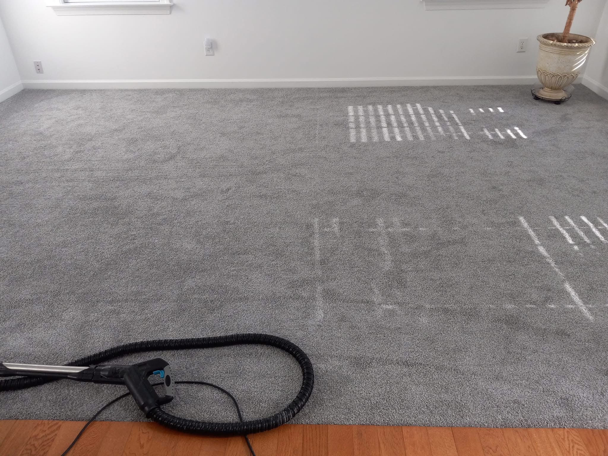 Carpet deep clean — Before