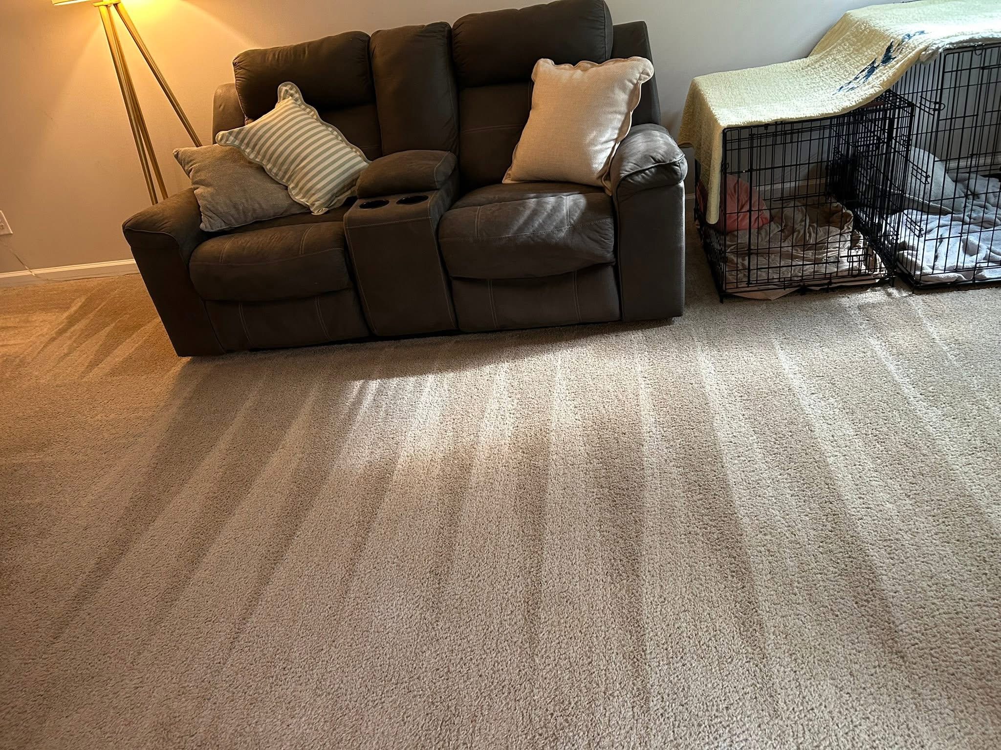 Clean Queen ATL — Carpets & Floors