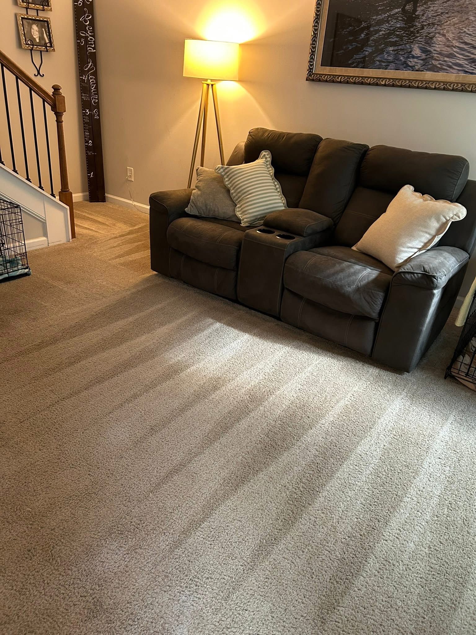 Clean Queen ATL — Carpets & Floors