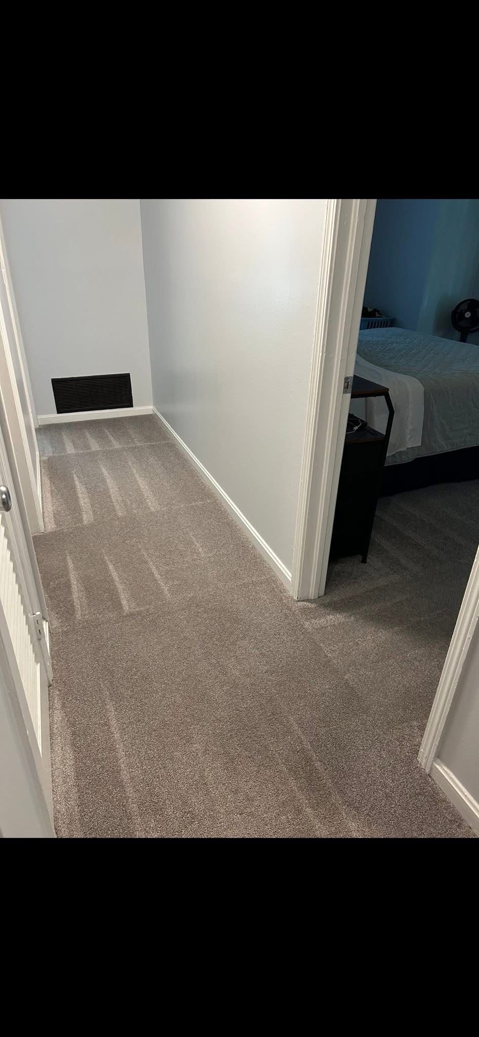 Clean Queen ATL — Carpets & Floors